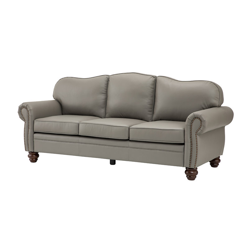 Darby Home Co Speedwell 81" Wide Genuine Leather Sofa-A+B | Wayfair